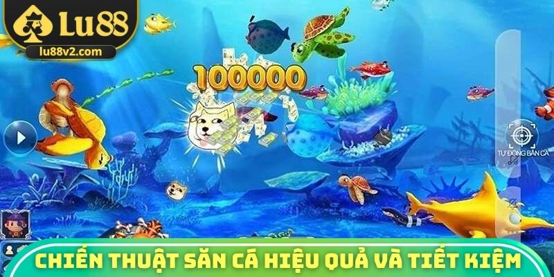 Chiến thuật săn cá hiệu quả và tiết kiệm
