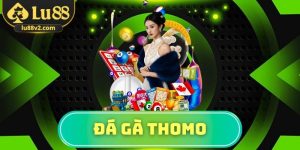 đá gà Thomo